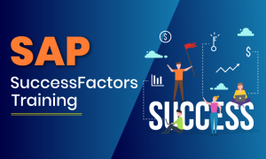 Potential Job Opportunities in SAP SuccessFactors