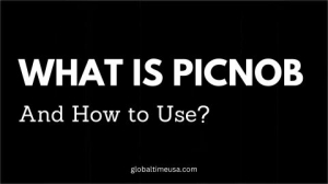 Picnob: A Concise Introduction and Usage Guide