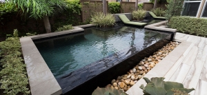 Transforming Your Backyard with a Gunite Pool