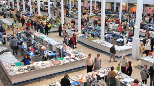 Essential Tips For A Successful Trip To The Fish Market