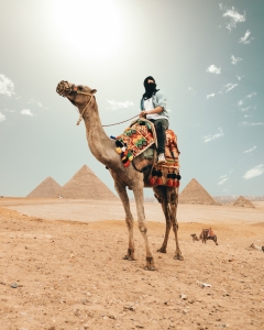 Maximizing Your Egypt Tour: Pro Tips for a Smooth and Exciting Adventure