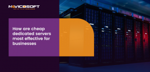 cheap dedicated servers most effective for businesses?