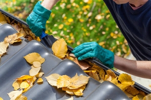 How much does professional gutter cleaning cost?
