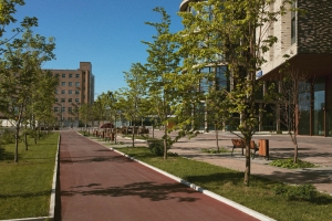 Benefits of Off Campus Housing Benefits of Off Campus Housing