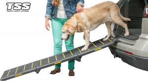 Pet Ramp: Why Every Pet Owner Should Have One?