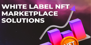 White Label NFT Marketplace Solutions: A Game Changer for Entrepreneurs