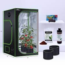 Grow Box Kits: Cultivating Success from the Comfort of Your Home