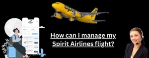 How can I manage my Spirit Airlines flight booking?