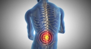 What Are The Common Reasons For Back Pain, And How Can They Be Prevented In New Jersey?