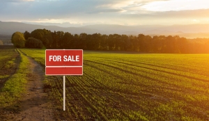 Tips for Selling Your Land Quickly