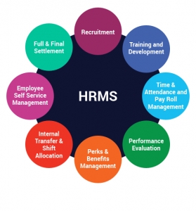 Affordable HRMS Solutions for SMEs in Pune