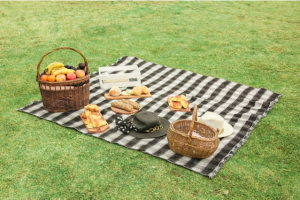 Activities to Do on Picnic Days