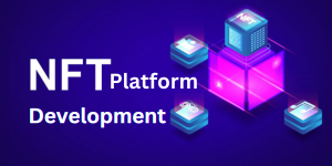 NFT Platform Development: Building the Future of Digital Ownership