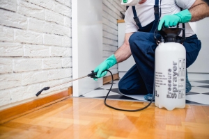 The Importance of Choosing a Wolverhampton-Based Pest Control Service