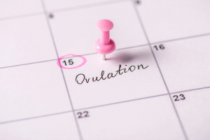 Boosting Fertility: Using Ovulation Symptoms to Your Advantage