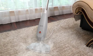 Carpet Steam Cleaning: A Deep Clean for a Healthy Home