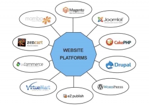 Which Web Design Platform Is Right for You