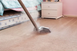 How Long Does It Take After Professional Carpet Steam Cleaning?