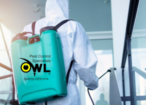 Know When to Contact Pest Control: Recognizing 3 Essential Signs