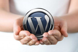How To Choose A Perfect WordPress Plugin For Your Website