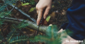 Getting Outside and Learning Survival Skills is Good for Your Mental Health 