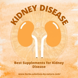 Chronic Kidney Disease Self Care: Best Supplements for Your Supporting