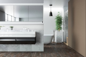 Step Into Style: Contemporary Bathroom Remodeling Trends
