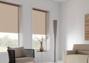 Transforming Spaces: Roller Blinds for Plastic Windows