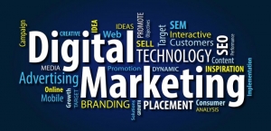 Ultimate Guide to Select Ideal Digital Marketing Agency for SEO