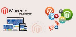 What’s Trending in Magento for 2024