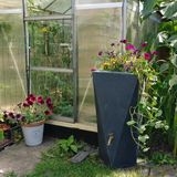 Harnessing Rainwater: The Essential Guide to Garden Water Butts
