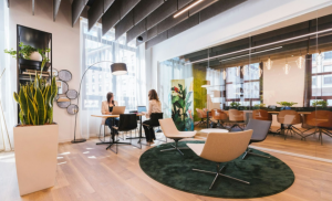 Workplace Designing: Role of art and decor in office ambiance