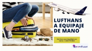 Su guía completa de las pólizas de Lufthansa Equipaje De Mano