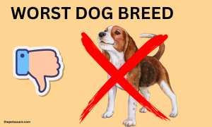 Worst Dog Breed Of The World