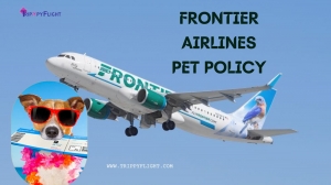 Frontier Pet Policy Updates: What You Need to Know for 2024