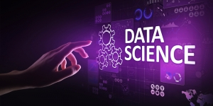 Exploring Data Science: Processes, Challenges, and Educational Pathways