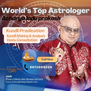Journey through Planets: Kundli Analysis by a Renowned Astrologer