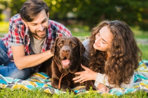  Increase in UK pet ownership due to more time at home
