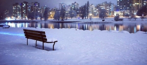 Conquering the Winter Chill: The Ultimate Guide to Snow Shoveling and Clearing in Vancouver