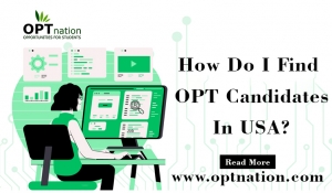 How Do I Find OPT Candidates In USA?