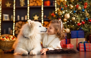 The Pet Parent’s Guide To Christmas