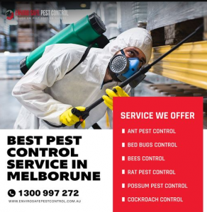 Banishing Bugs and Evicting Critters: The Ultimate Guide to Pest Control Solutions