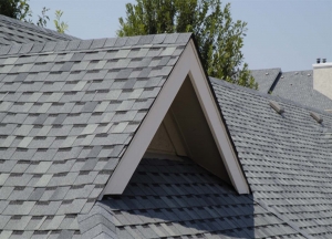 How to Check Your Roof for Damage or Leaks
