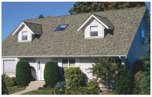 Benefits of Hiring Professional Roofing Services to Assess Storm Damage