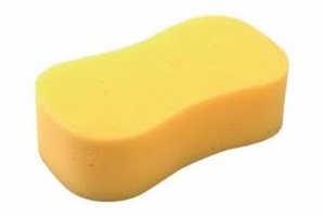 Exploring the Benefits of Your Perfect Sponge