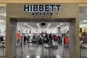 FOR $113M, HIBBETT SPORTS ACQUIRES CITY GEAR