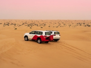 Things to Avoid While Dubai Desert Safari