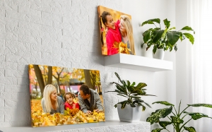 Why Is Print on Canvas Right for You?