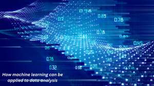 Find your perfect rental home with expert tips Find your perfect rental home with expert tips