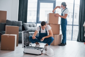 What An Ideal Mover And Packer Will Give You